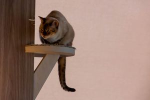 Garance Tokyolastpics 36