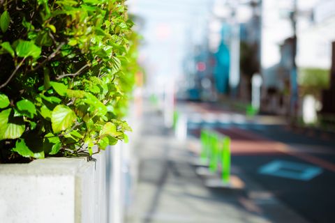 R6g 5313 Enhanced Nr